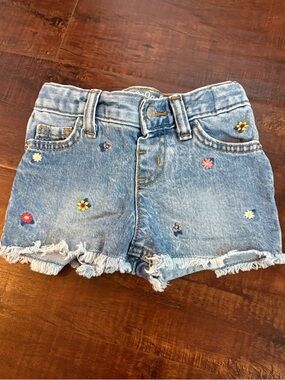 Cat & Jack Light Blue Denim Shorts with Floral Embroidery